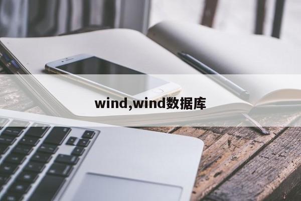 wind,wind数据库